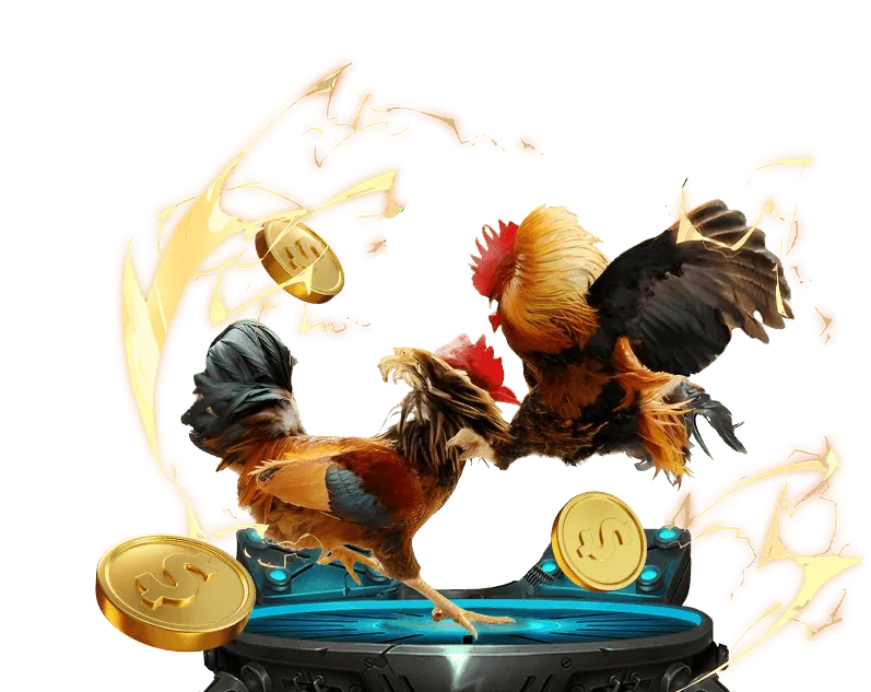 Các lợi ích khi cá cược tại tp88 nhà cái